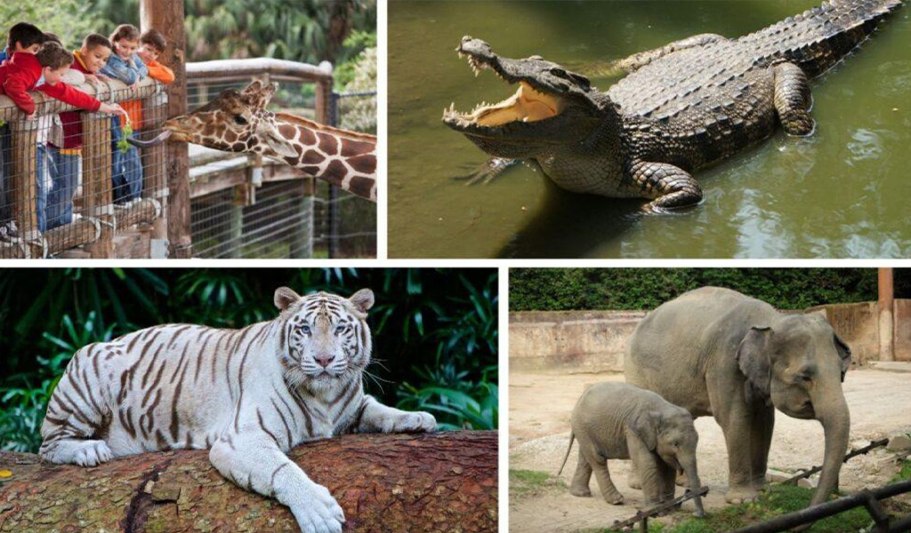 Nandankanan Zoo